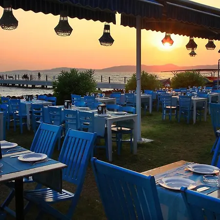 Hotel Club Yali & 5*